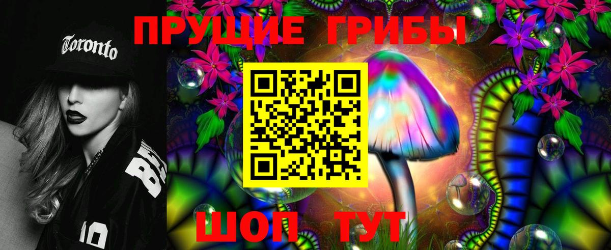 Калач-на-Дону  Псилоцибиновые грибы Psilocybe  Вход с VPN 